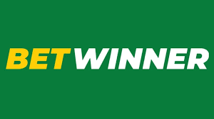 Experience the Thrill of Gaming with BetWinner Platform Experience the Thrill of Gaming with BetWinner Platform