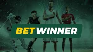 Explore BetWinner Online Bookmaker Your Ultimate Betting Experience