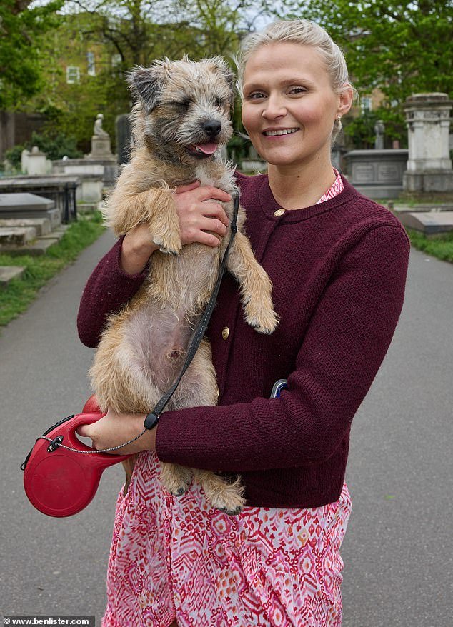 Chicken road demo, chicken road slot