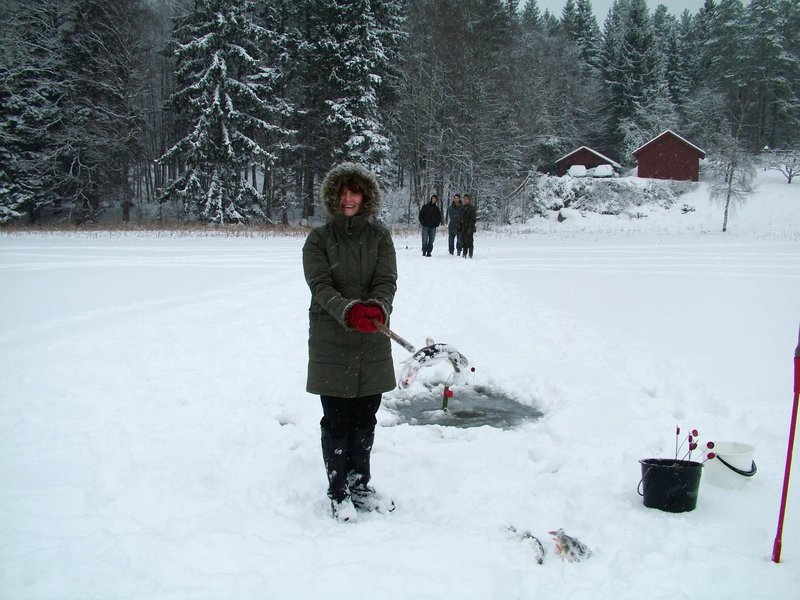 Neuer Eiscup Spiel - Die aufregendste Eisfischerei-Glücksspiel-Entdeckung - overview