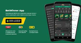 BetWinner Aviator Your Ultimate Guide to Winning