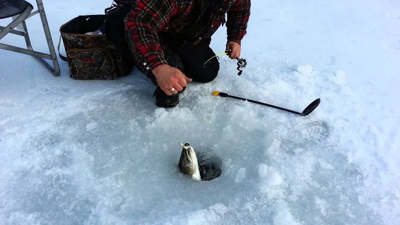 Ice fishing gambling game in Canada